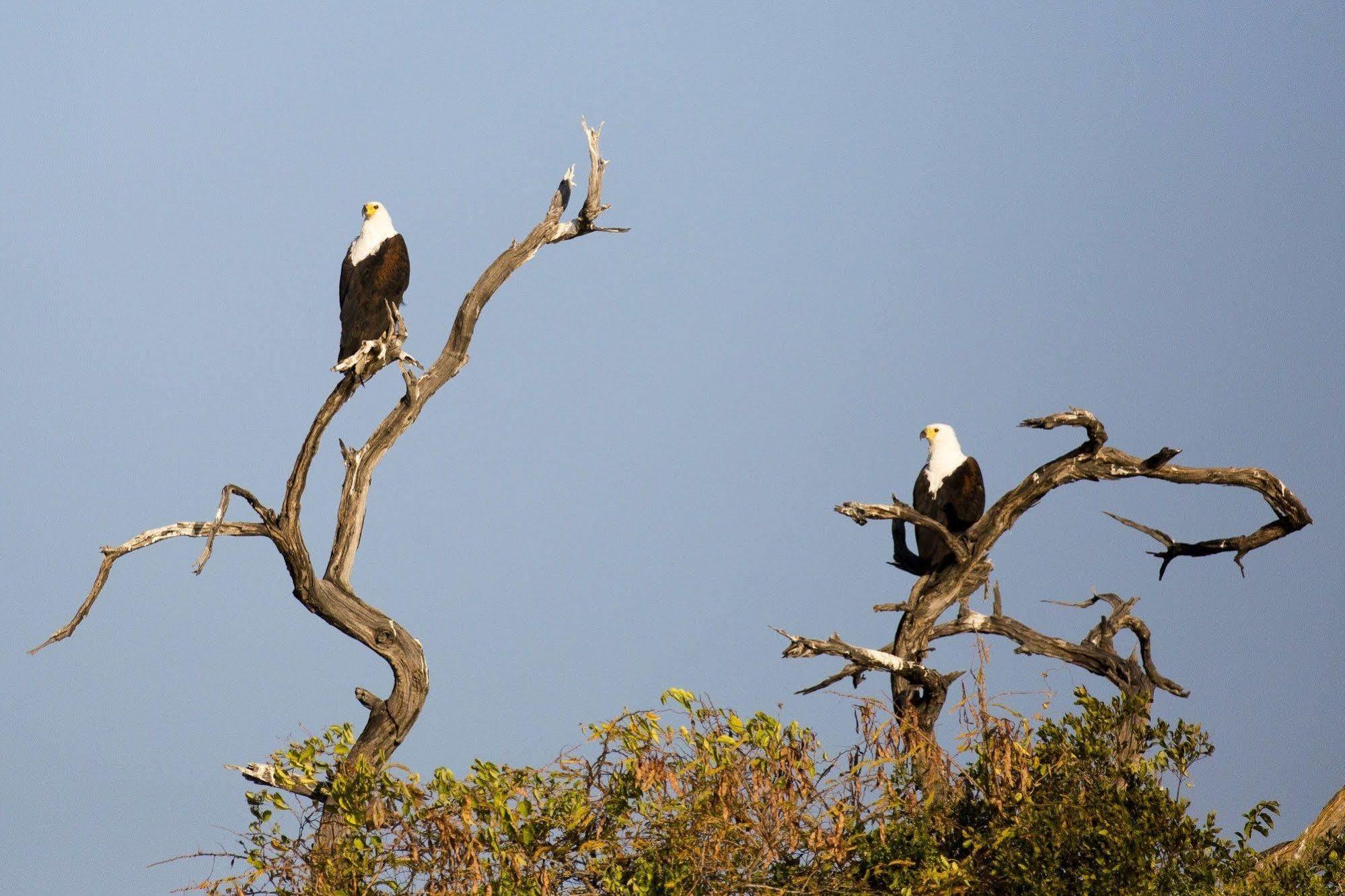 Gondwana Hakusembe River Lodge Рунду Экстерьер фото